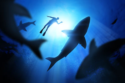 Sink or Swim: Concepts for Saving Small Institutions from Drowning