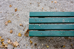 bigstock-A-wooden-bench-in-the-park-vi-25470692